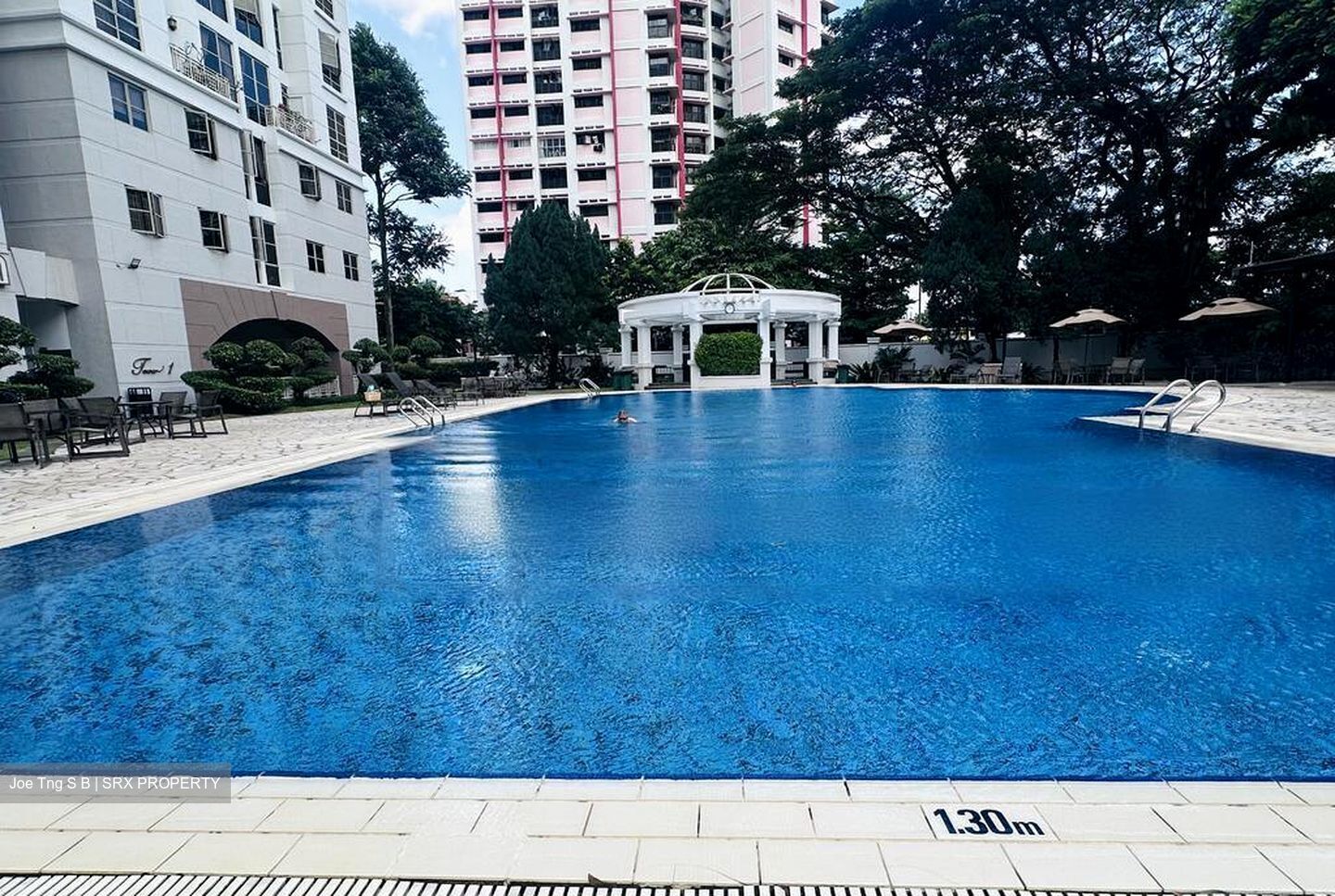 Parc Vista (D22), Condominium #484255561